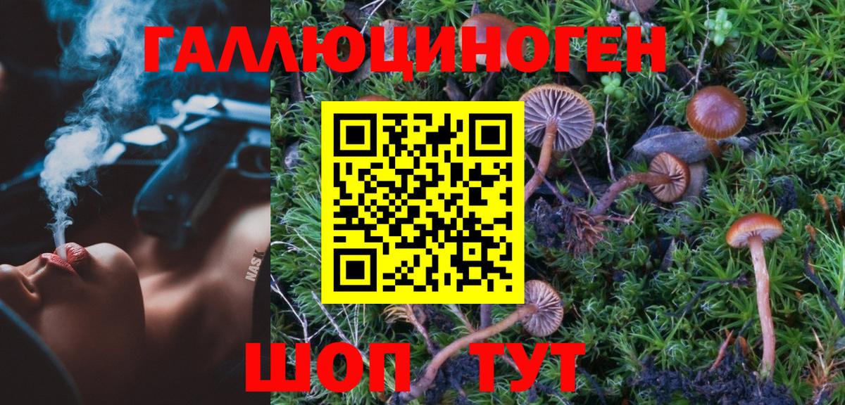 Псилоцибиновые грибы мицелий Карпинск